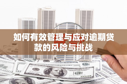 永济如何有效管理与应对逾期贷款的风险与挑战