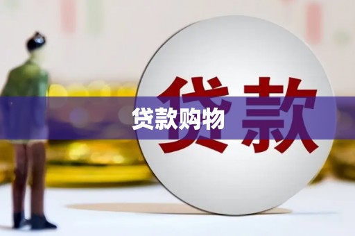 永济贷款购物