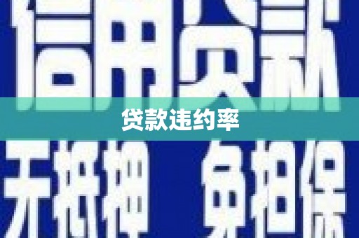 永济贷款违约率