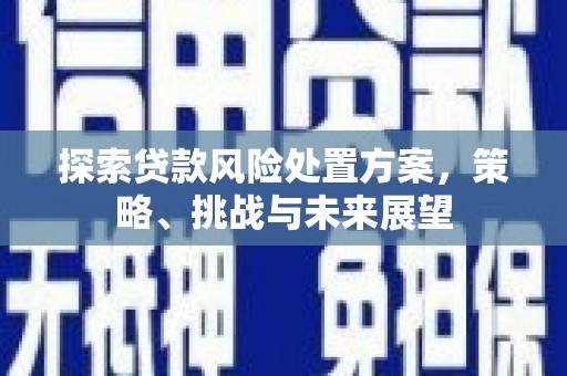 永济探索贷款风险处置方案，策略、挑战与未来展望