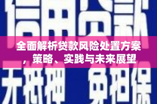 永济全面解析贷款风险处置方案，策略、实践与未来展望