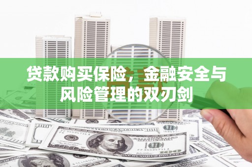永济贷款购买保险，金融安全与风险管理的双刃剑