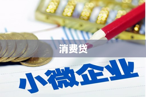 永济消费贷