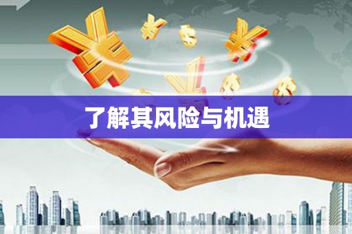 永济了解其风险与机遇