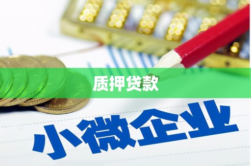 永济质押贷款