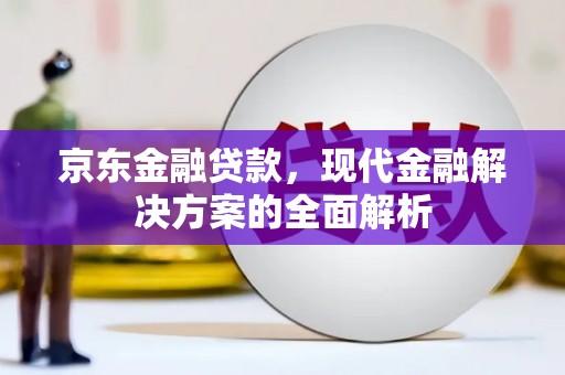 永济京东金融贷款，现代金融解决方案的全面解析