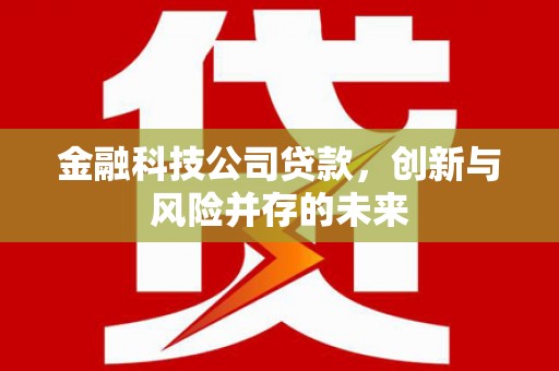 永济金融科技公司贷款，创新与风险并存的未来