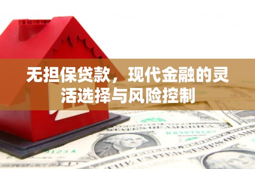 永济无担保贷款，现代金融的灵活选择与风险控制