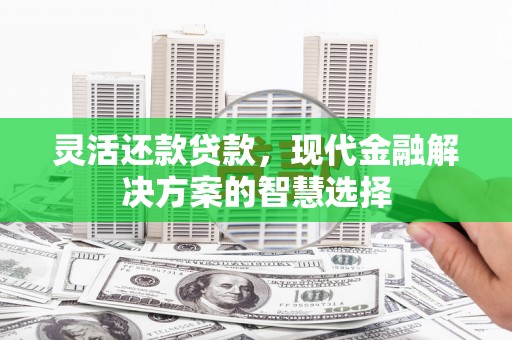 永济灵活还款贷款，现代金融解决方案的智慧选择