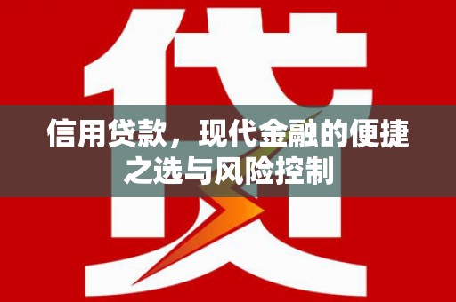 永济信用贷款，现代金融的便捷之选与风险控制