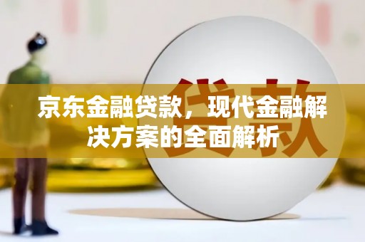 永济京东金融贷款，现代金融解决方案的全面解析