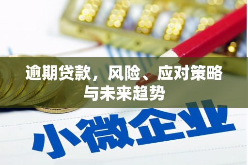 永济逾期贷款，风险、应对策略与未来趋势