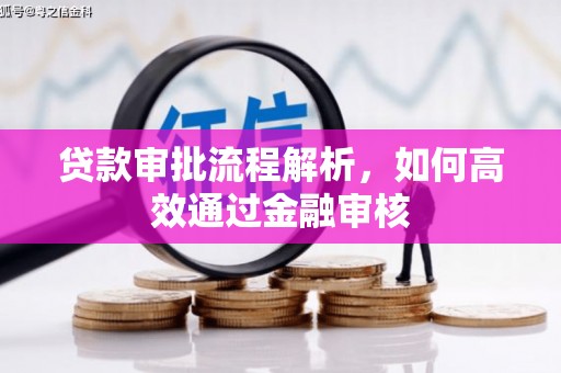 永济贷款审批流程解析，如何高效通过金融审核