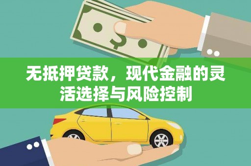 永济无抵押贷款，现代金融的灵活选择与风险控制