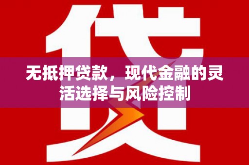 永济无抵押贷款，现代金融的灵活选择与风险控制
