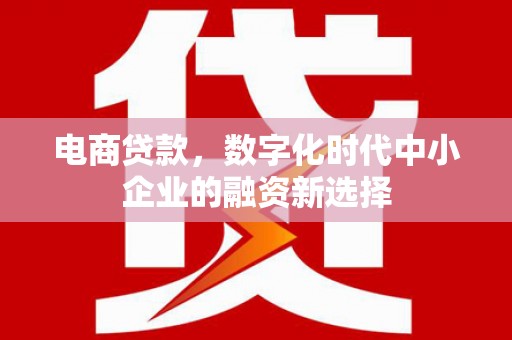 永济电商贷款，数字化时代中小企业的融资新选择