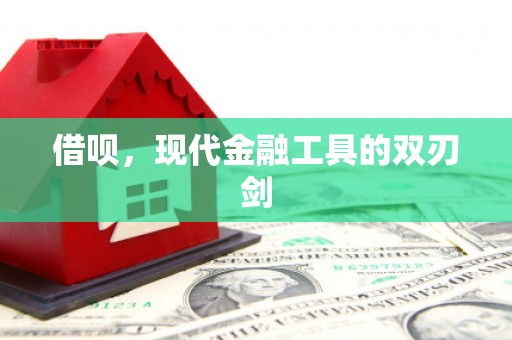 永济借呗，现代金融工具的双刃剑
