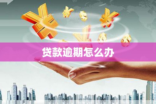永济贷款逾期怎么办