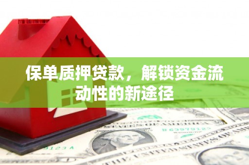 永济保单质押贷款，解锁资金流动性的新途径