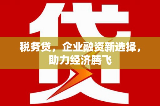 永济税务贷，企业融资新选择，助力经济腾飞