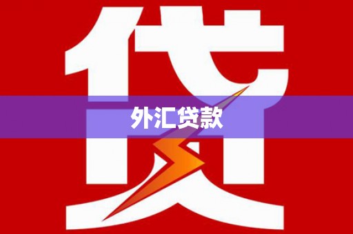 永济外汇贷款
