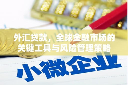 永济外汇贷款，全球金融市场的关键工具与风险管理策略