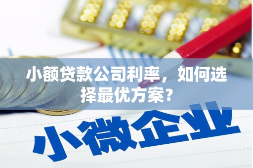 永济小额贷款公司利率，如何选择最优方案？
