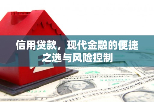 永济信用贷款，现代金融的便捷之选与风险控制