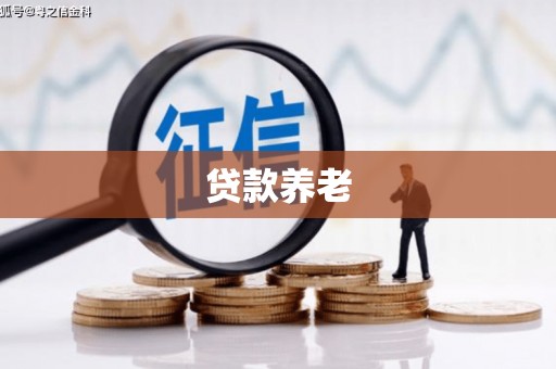 永济贷款养老