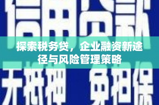 永济探索税务贷，企业融资新途径与风险管理策略