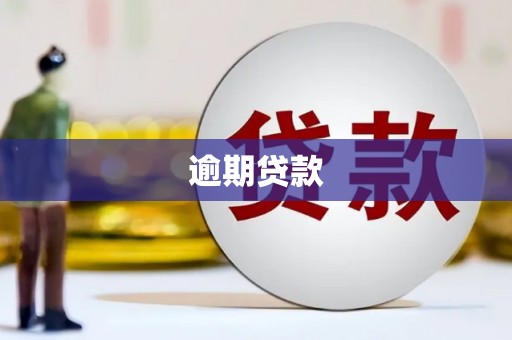 永济逾期贷款