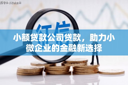 永济小额贷款公司贷款，助力小微企业的金融新选择