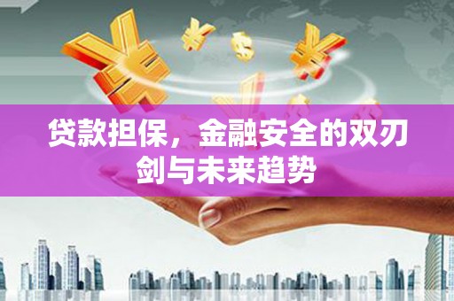 永济贷款担保，金融安全的双刃剑与未来趋势
