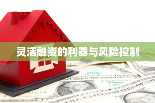 永济灵活融资的利器与风险控制