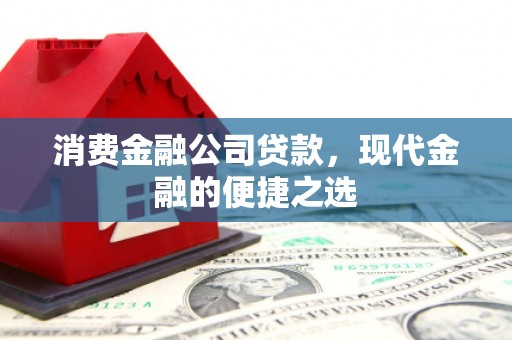 永济消费金融公司贷款，现代金融的便捷之选