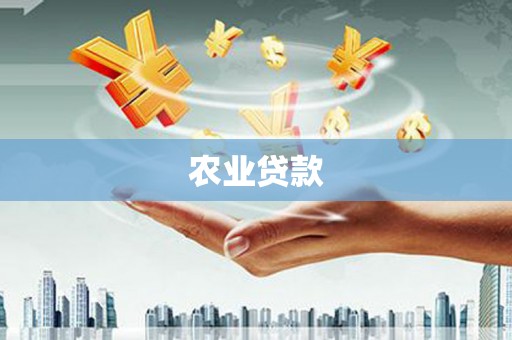 永济农业贷款