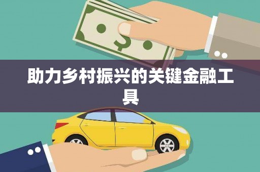 永济助力乡村振兴的关键金融工具