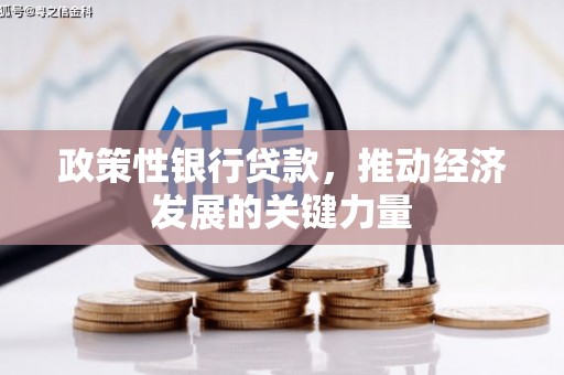 永济政策性银行贷款，推动经济发展的关键力量
