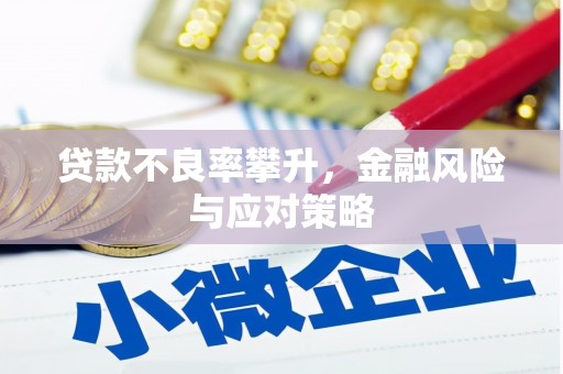 永济贷款不良率攀升，金融风险与应对策略