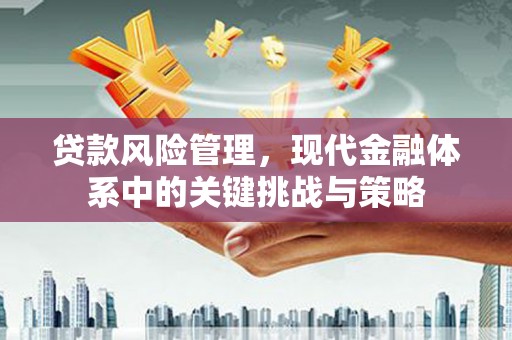 永济贷款风险管理，现代金融体系中的关键挑战与策略