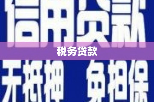 永济税务贷款