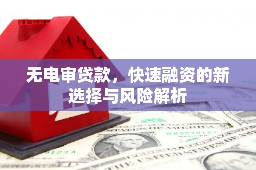 永济无电审贷款，快速融资的新选择与风险解析