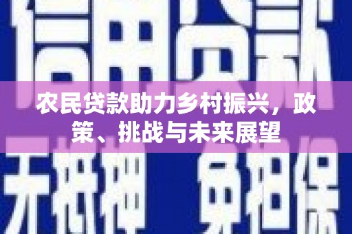 永济农民贷款助力乡村振兴，政策、挑战与未来展望