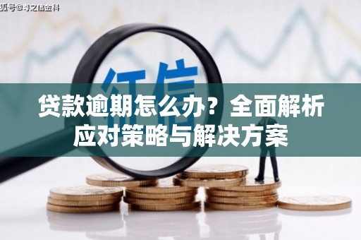 永济贷款逾期怎么办？全面解析应对策略与解决方案