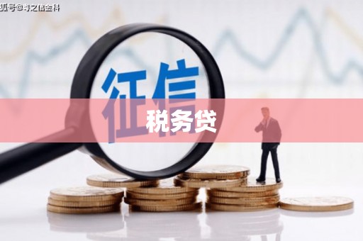 永济税务贷