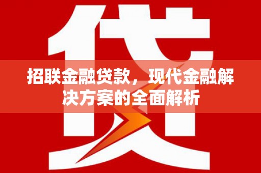 永济招联金融贷款，现代金融解决方案的全面解析