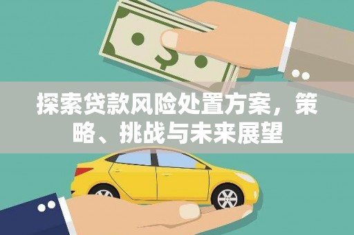 永济探索贷款风险处置方案，策略、挑战与未来展望