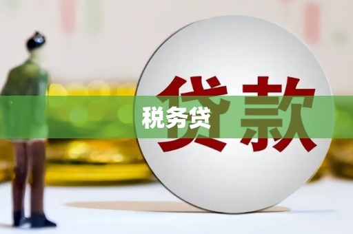 永济税务贷