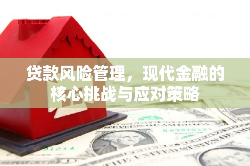 永济贷款风险管理，现代金融的核心挑战与应对策略