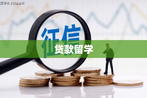 永济贷款留学